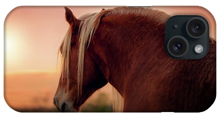 The Belgian Draft Horse Weighs About 2000 Pounds (900 Kilograms). It Is Called The Brabant Horse In Europe iPhone Case featuring the photograph The End of a Long Day at the Ranch by Tamyra Ayles