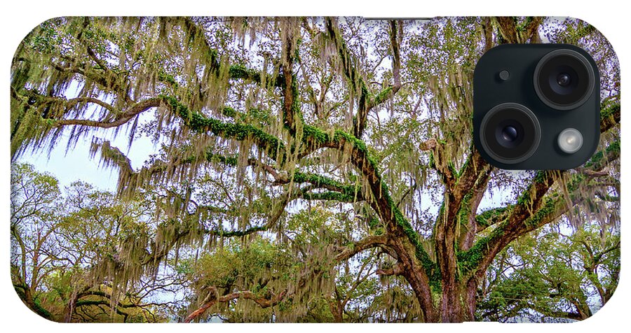 Oak Alley Plantation iPhone Case featuring the photograph The Essence 2 by Steve Harrington