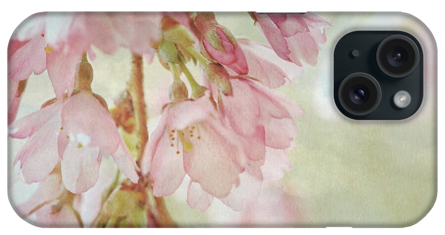 Connie Handscomb iPhone Case featuring the photograph The Essence Of Springtime by Connie Handscomb