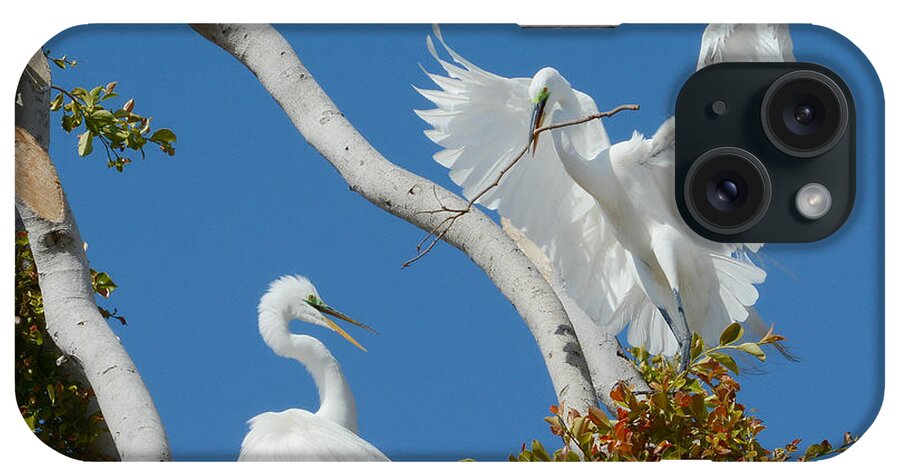Ardea Alba iPhone Case featuring the photograph The Exchange 2 by Fraida Gutovich