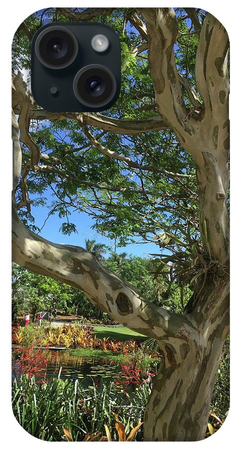 Tree iPhone Case featuring the photograph The Exotic Tree #2 - Close Up by Susan Grunin