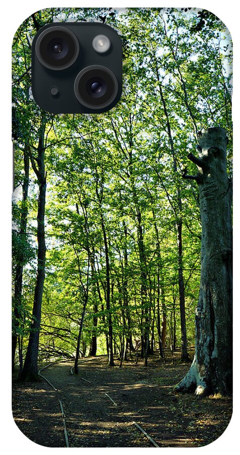 Forest iPhone Case featuring the photograph The forest by Pedro Fernandez