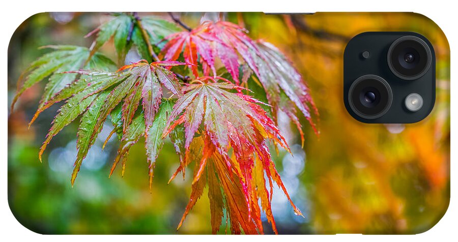 Leaves iPhone Case featuring the photograph The Freshness of Fall by Ken Stanback