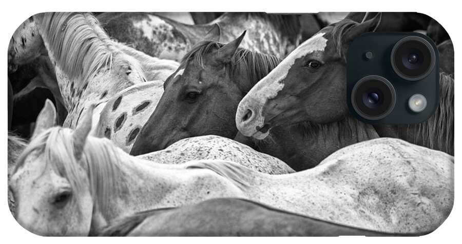 Horses iPhone Case featuring the photograph The Gathering by Ryan Courson