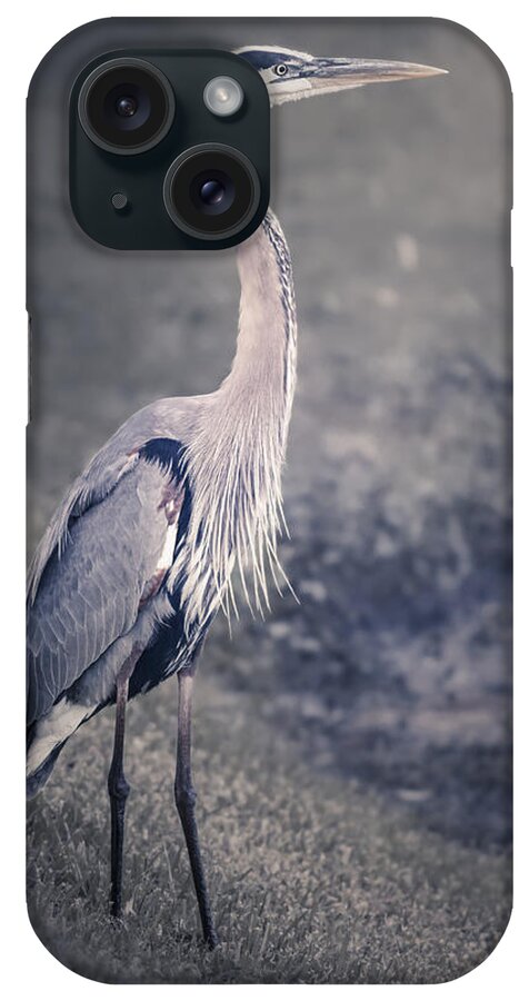 America iPhone Case featuring the photograph The Great Blue Heron by Eduard Moldoveanu