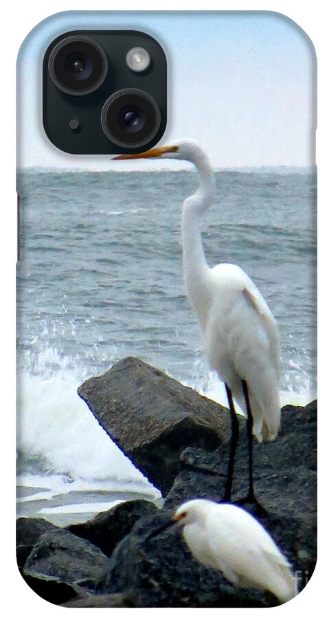 Great Egret iPhone Case featuring the photograph The Great Egret and Snowy Egret Florida Shore Birds by Tim Townsend