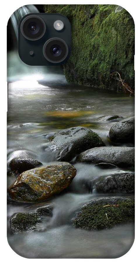 Carol R Montoya iPhone Case featuring the photograph The Great Smoky Mountains National Park Mossy Boulders II by Carol Montoya