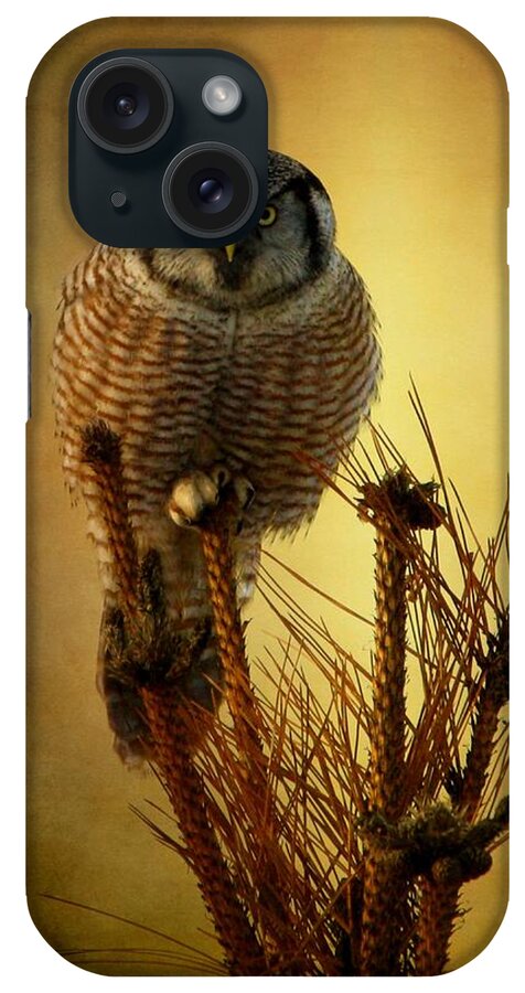 Hawk Owl iPhone Case featuring the photograph The great stare down by Heather King