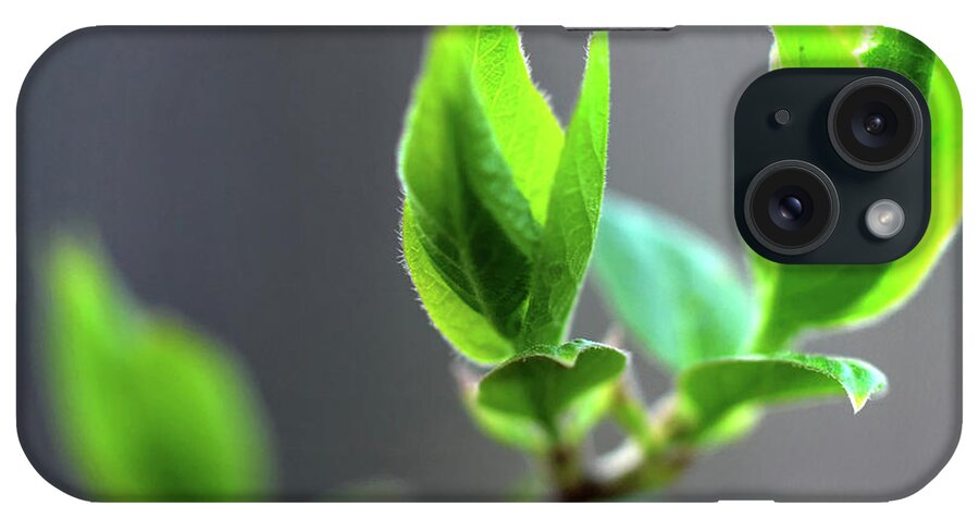 Leaf iPhone Case featuring the photograph The Green Leaf by Jeffrey Platt