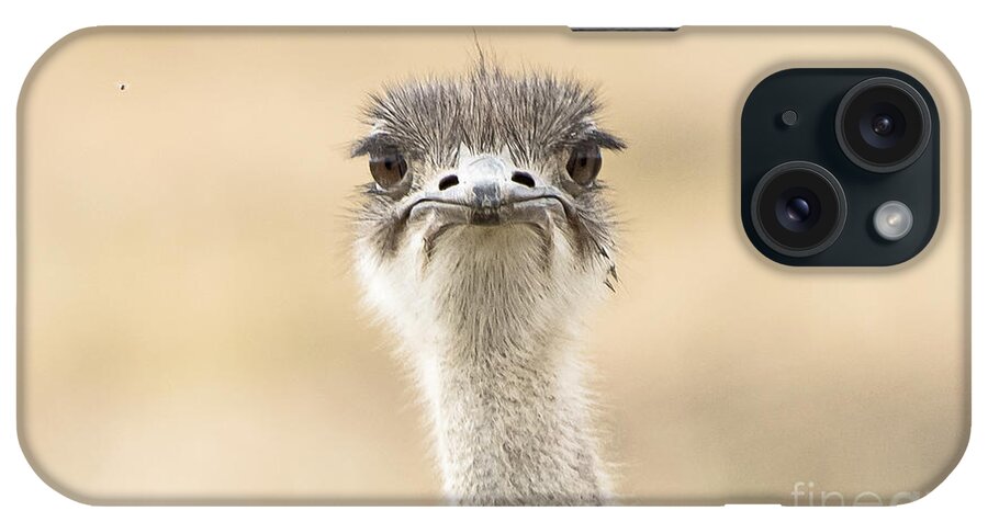 Ostrich iPhone Case featuring the photograph The Grump by Pravine Chester