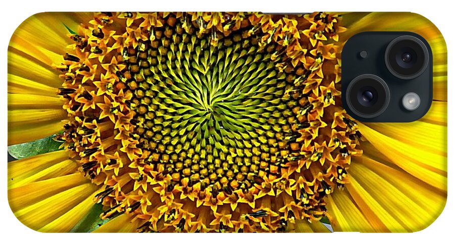Yellow iPhone Case featuring the photograph The Heart of the Flower by Karen McKenzie McAdoo