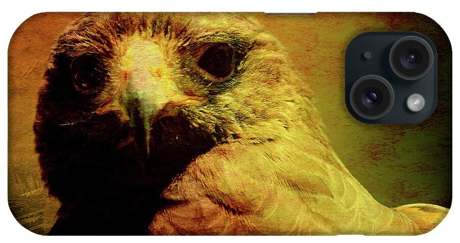 Red Tail Hawk iPhone Case featuring the photograph The Hunter . Portrait of a Hawk . Texture . 40D7877 by Wingsdomain Art and Photography