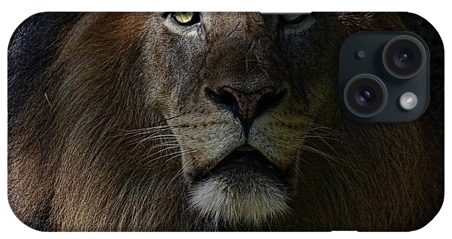 Lion iPhone Case featuring the photograph The King in awe by Ronda Ryan