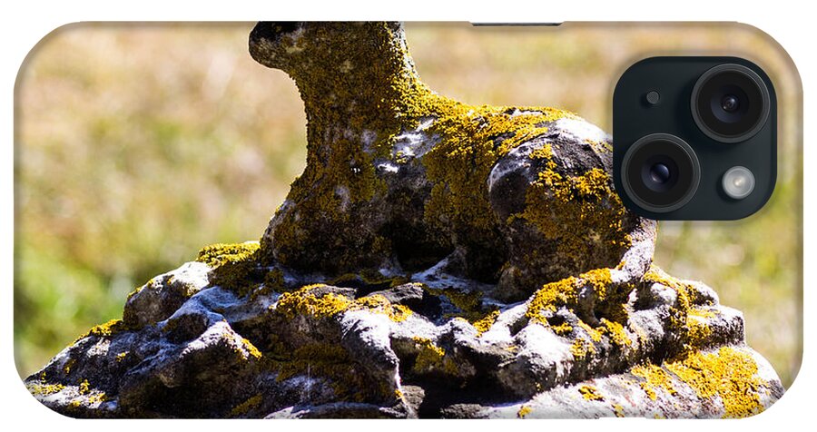Cemetery iPhone Case featuring the photograph The Lamb by Dick Botkin