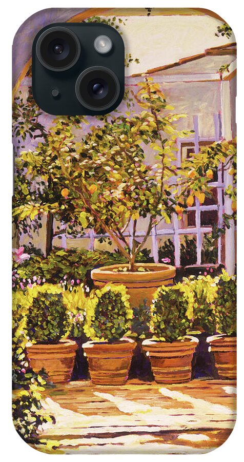 Gardens iPhone Case featuring the painting The Lemon Tree Courtyard by David Lloyd Glover