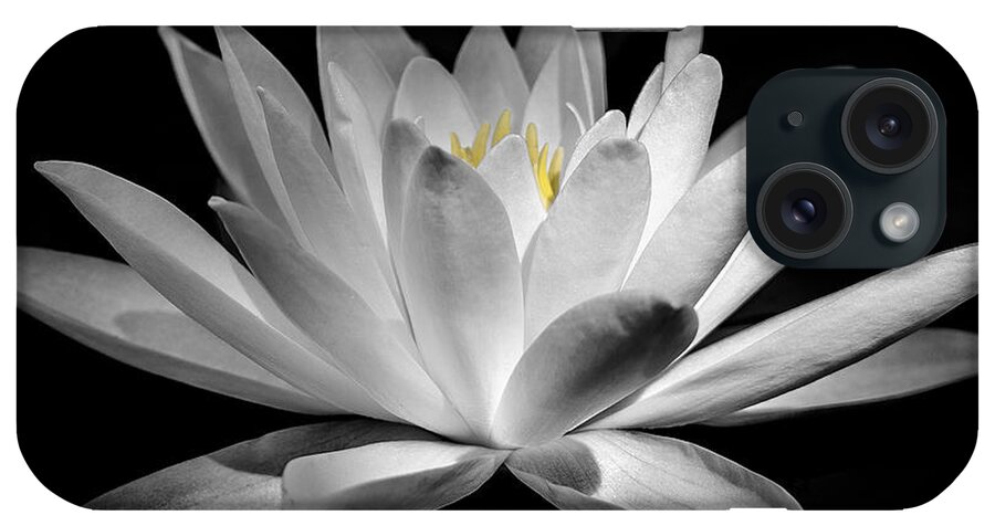 Lily iPhone Case featuring the photograph The Lily by Andy Smetzer