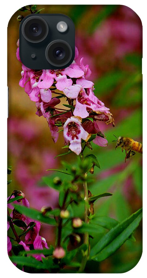 Honey Bee iPhone Case featuring the photograph The Little Pollinator by HH Photography of Florida