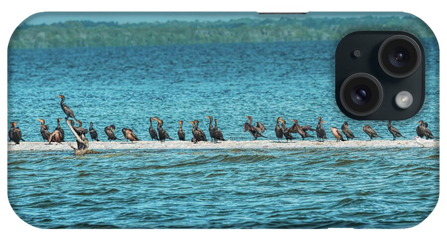 Birds iPhone Case featuring the photograph The Local Cormorant Bar by John M Bailey