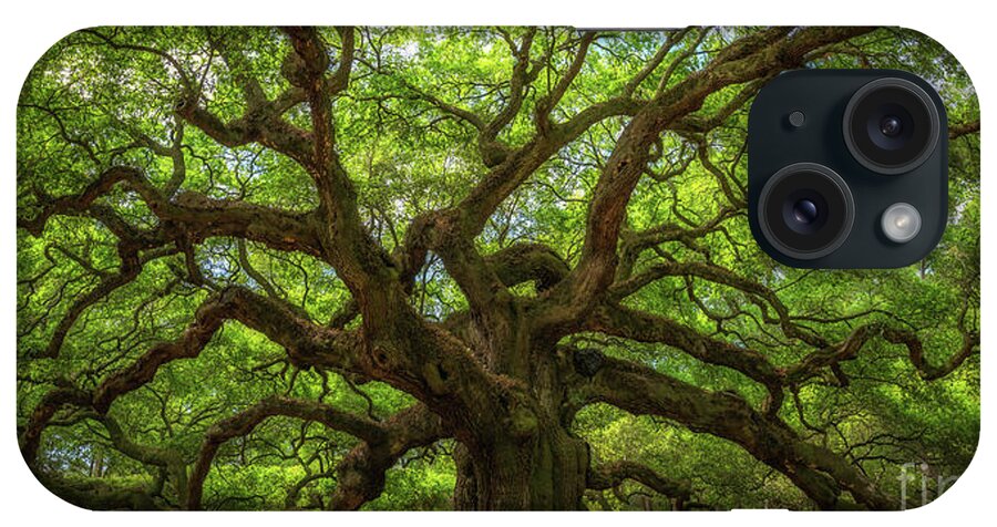 Angel Oak Tree iPhone Case featuring the photograph The Magical Angel Oak Tree Panorama by Michael Ver Sprill