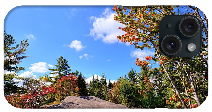 Landscapes iPhone Case featuring the photograph The Maples on Bald Mountain by David Patterson