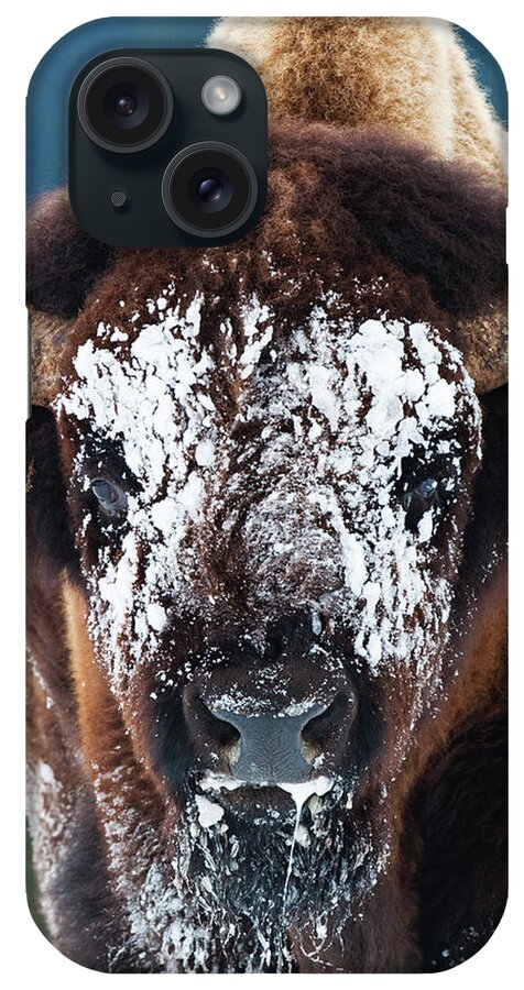 Wild Bison iPhone Case featuring the photograph The Masked Bison by Mark Miller