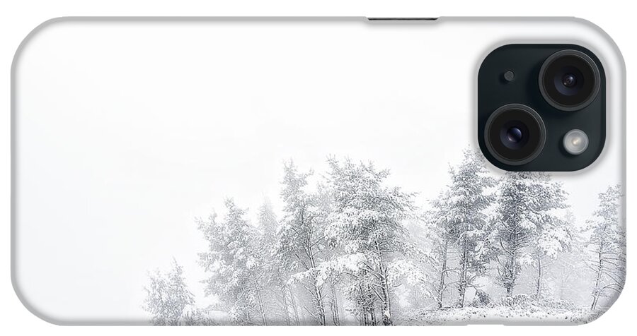 Winter iPhone Case featuring the photograph The minimal forest by Mikel Martinez de Osaba