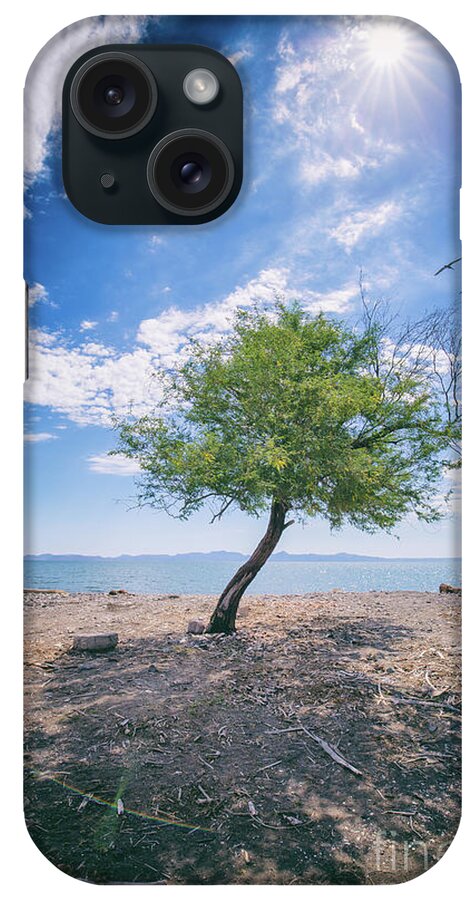 Tree iPhone Case featuring the photograph The Mirage by Becqi Sherman