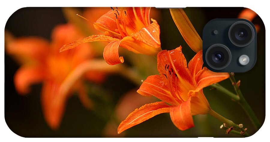 Tiger Lilies iPhone Case featuring the photograph The Moment by Linda McRae