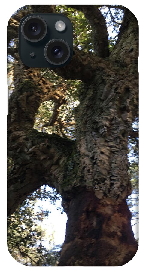 Cork Tree iPhone Case featuring the photograph The Old Cork Tree by Susan Grunin