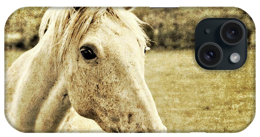 Horse iPhone Case featuring the photograph The Old Grey Mare by Meirion Matthias