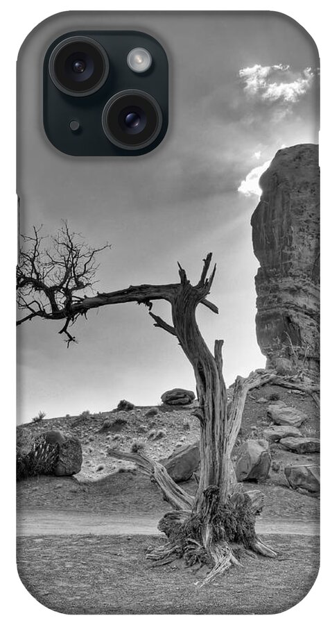 America iPhone Case featuring the photograph The Old Tree by Andreas Freund