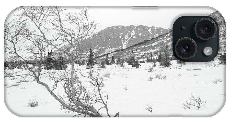 Tree iPhone Case featuring the photograph The Patient Tundra by Tim Newton