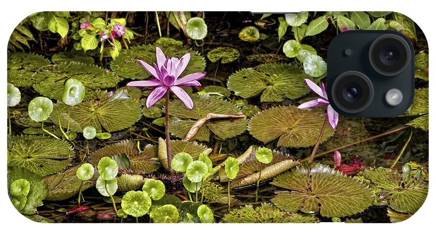 Flowers iPhone Case featuring the photograph The Pond by Madeline Ellis