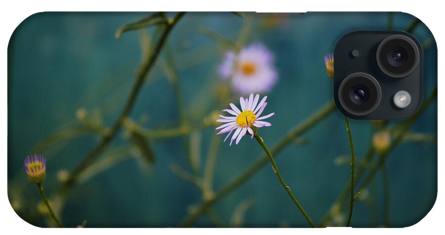  iPhone Case featuring the photograph The Quiet Aster by Douglas MooreZart