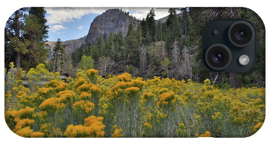 Humboldt-toiyabe National Forest iPhone Case featuring the photograph The Road to Mt. Charleston Natural Area by Ray Mathis