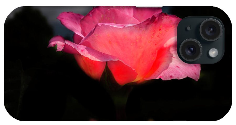 Rose iPhone Case featuring the photograph The rose 2 by Wolfgang Stocker
