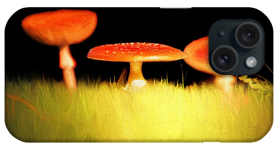 Toadstool iPhone Case featuring the photograph The Sisters by Jaroslav Buna