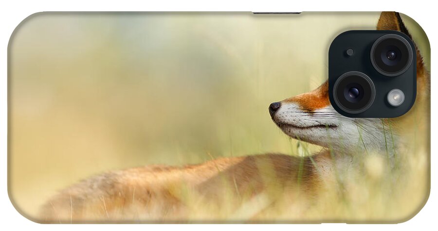Red Fox iPhone Case featuring the photograph The Sleeping Beauty - Wild Red Fox by Roeselien Raimond