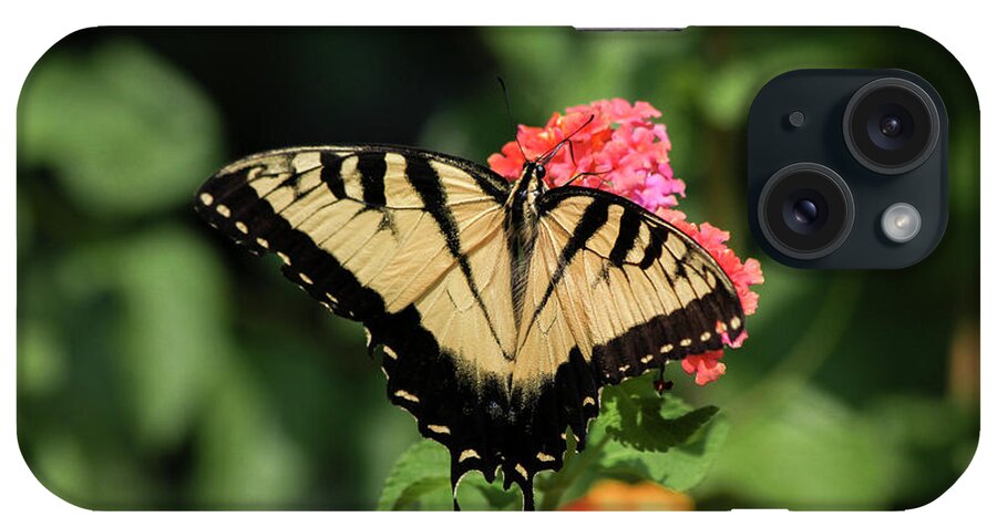 Reid Callaway Eastern Tiger Swallowtail iPhone Case featuring the photograph The Spread Eastern Tiger Swallowtail Butterfly Art by Reid Callaway