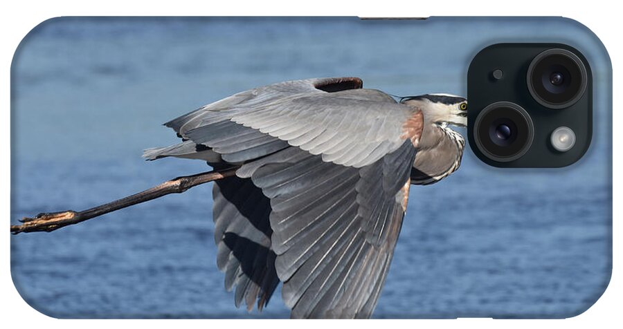 Heron iPhone Case featuring the photograph The Squawker by Jim Bennight