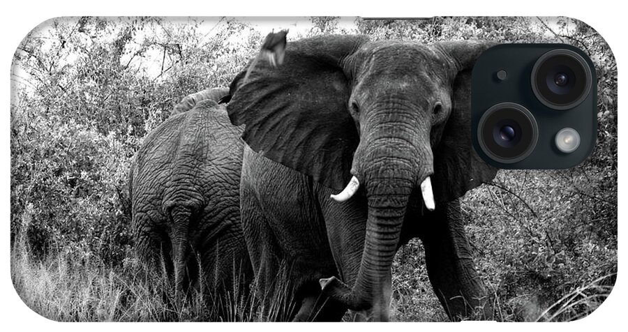 Elephant iPhone Case featuring the photograph The Standoff by Bruce J Robinson