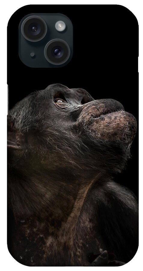 Chimpanzee iPhone Case featuring the photograph The Stargazer by Paul Neville