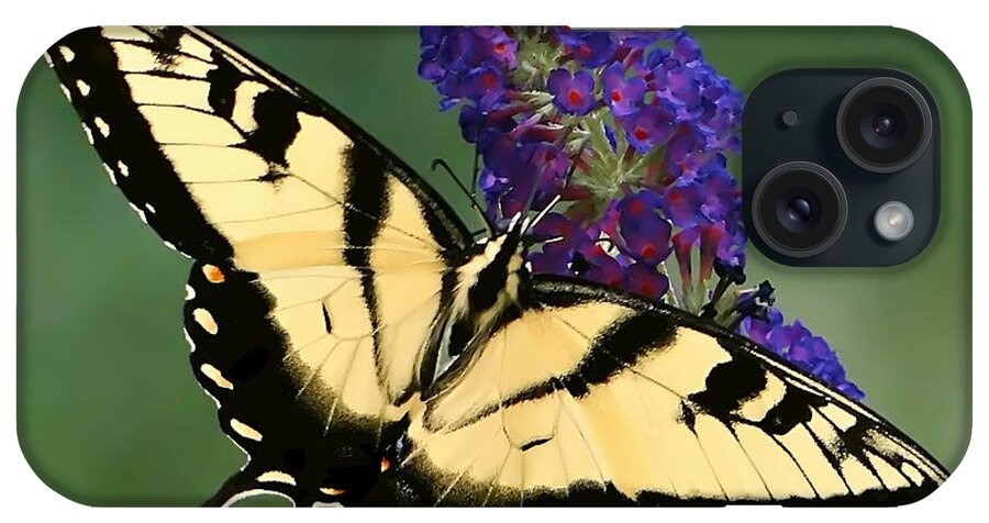 Swallowtail iPhone Case featuring the photograph The Swallowtail by Sue Melvin