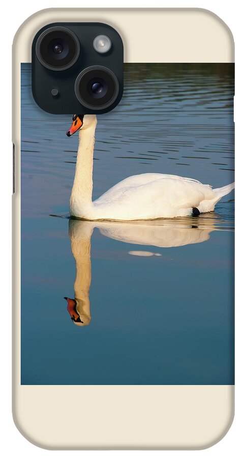Swan iPhone Case featuring the photograph The swan by Marco Busoni