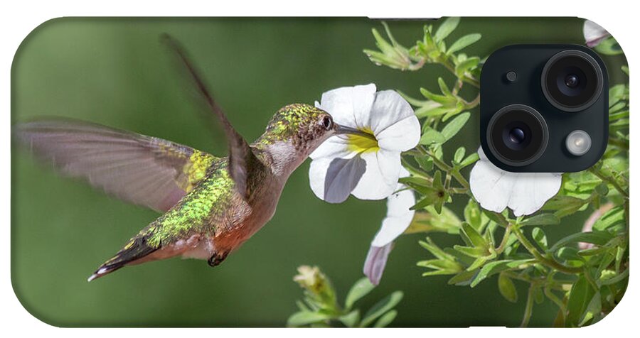 Hummingbird iPhone Case featuring the photograph The Sweet Hummingbird by Betsy Knapp