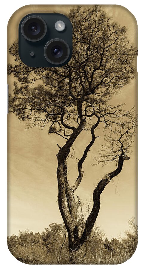 Tree iPhone Case featuring the photograph The Tree by Ken Fullerton