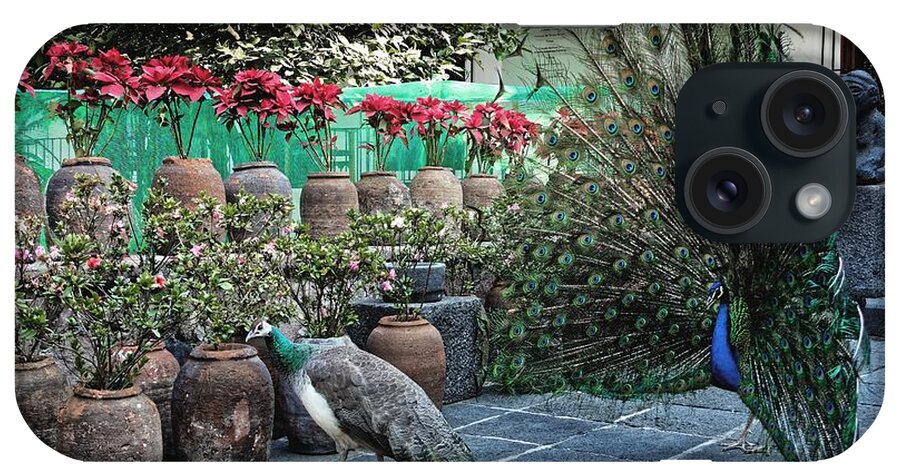 Peacocks iPhone Case featuring the photograph The Unrequited, Mexico City, 2016 by Chris Honeyman