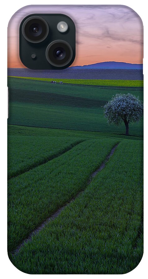 Tree iPhone Case featuring the photograph The Viewer by Dominique Dubied