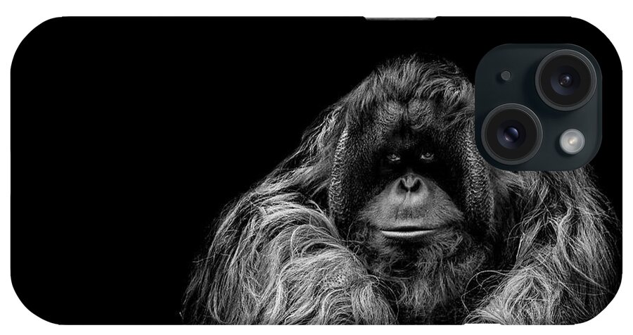 Orangutan iPhone Case featuring the photograph The Vigilante by Paul Neville