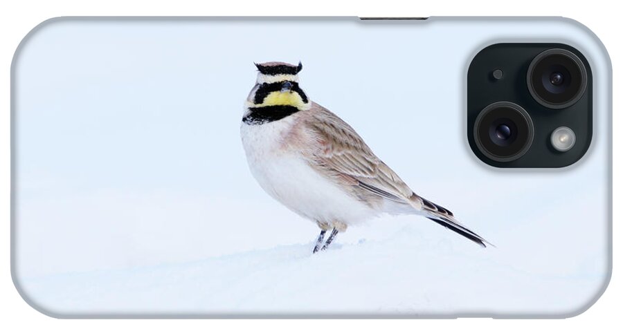 The Warrior iPhone Case featuring the photograph The Warrior by Alyce Taylor